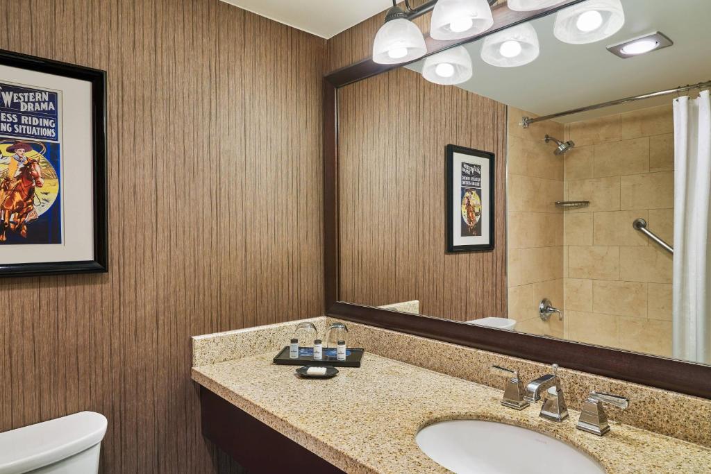 Sheraton North Houston at George Bush Intercontinental - Chambre D'amis, 2 Doublé