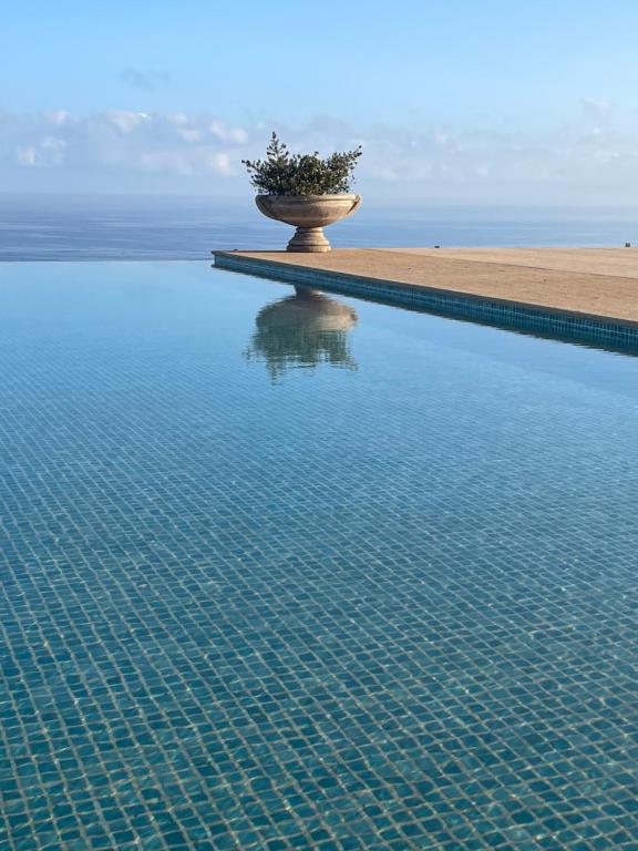 a large pool of water with a plant in it at Villa La Falaise in Oualidia