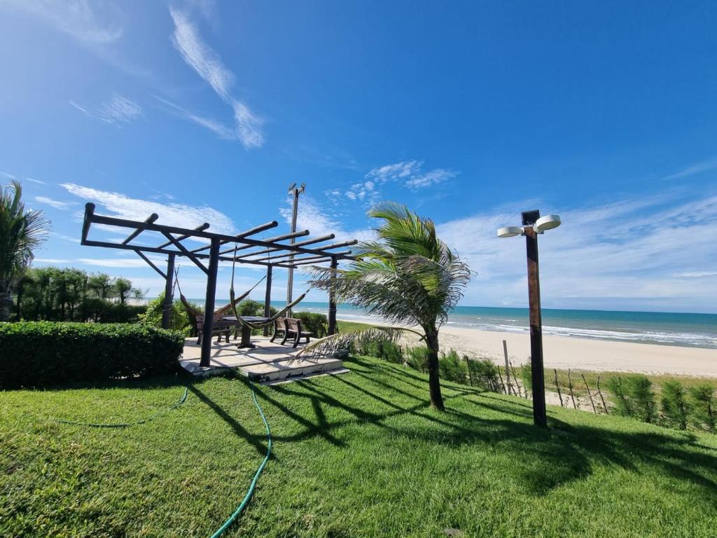 - une vue sur la plage avec un palmier dans l'établissement Porto das dunas - Apt pé na areia ao lado do Beach Park, à Aquiraz