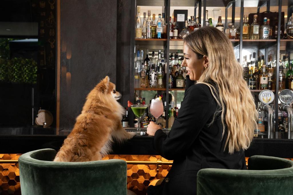 Sheraton Grand London Park Lane - Resim 45