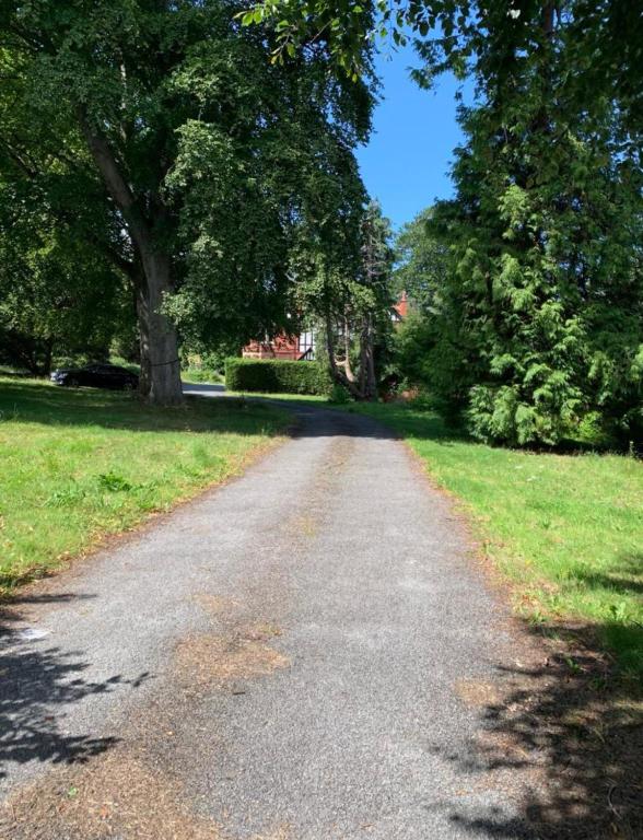 a road in a park with trees and grass at Netherton Studio Apartment 1 in Llandrillo-yn-Rhôs