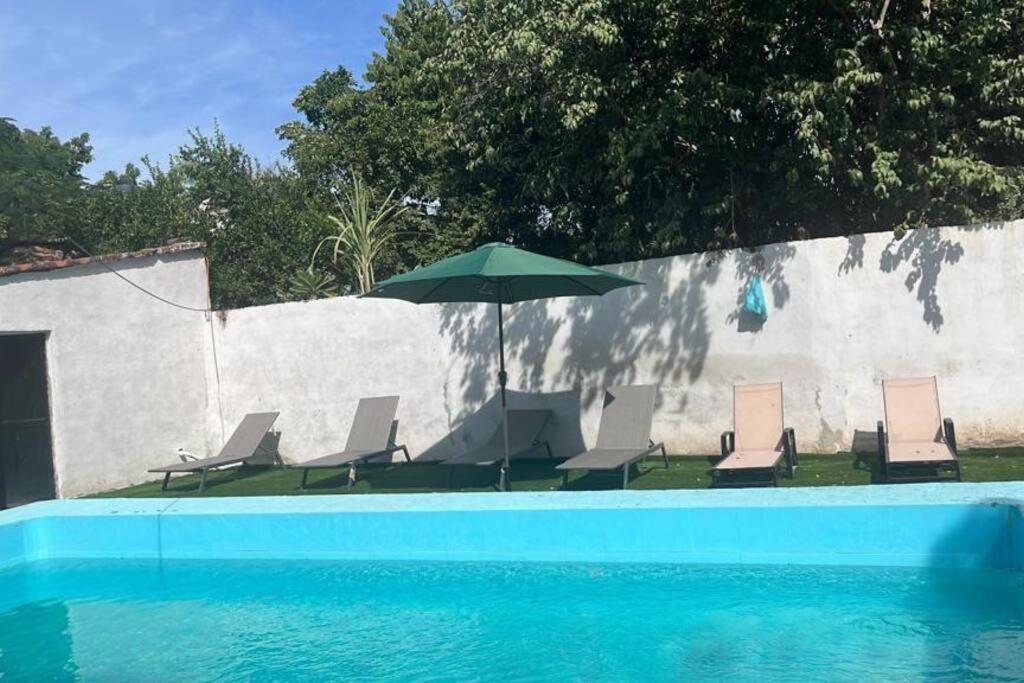 阿拉莫斯的住宿－Flores Condominios Depa Rosa，一组椅子和一把遮阳伞,位于游泳池旁