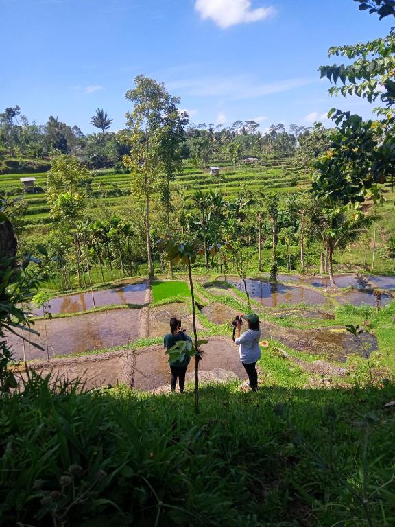 Tetebatu Sunrise Homestay - 8