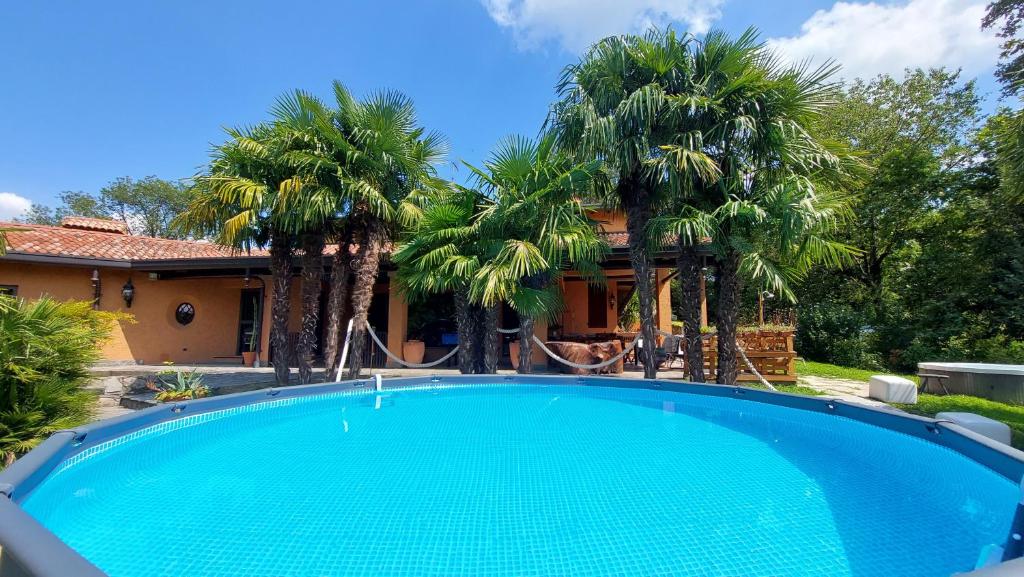una piscina di fronte a una casa con palme di Villa Pusiana a Cesana Brianza
