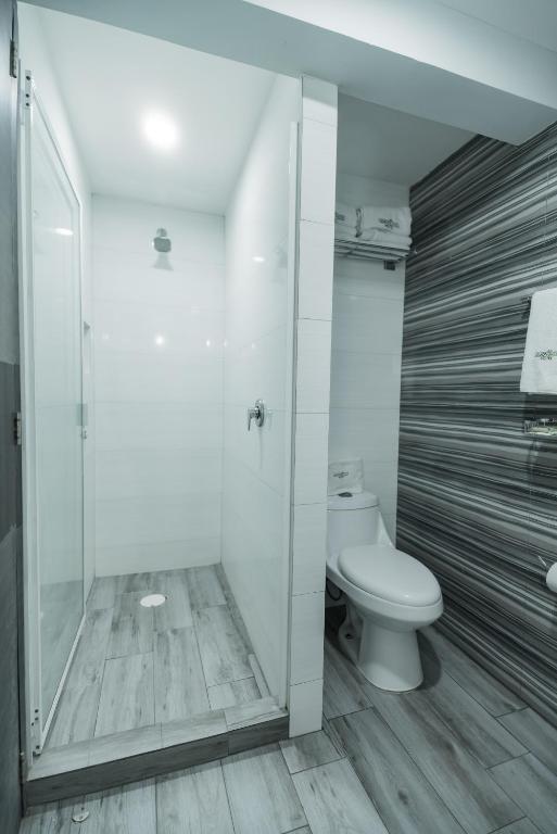 Koupelna v ubytování HOTEL LEMON GREEN -Zona Expo Frente al Centro de Convenciones