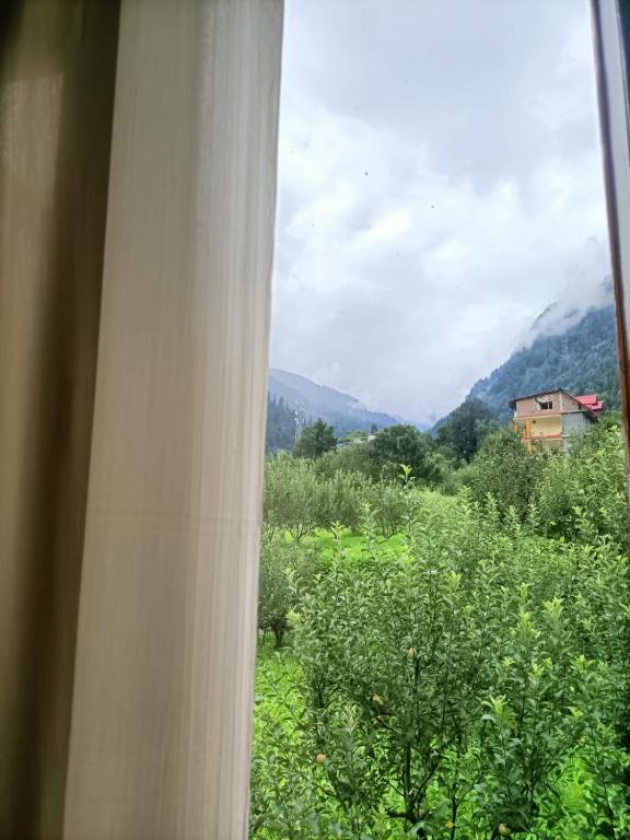 Nespecifikovaný výhled na hory nebo výhled na hory při pohledu z hostelu