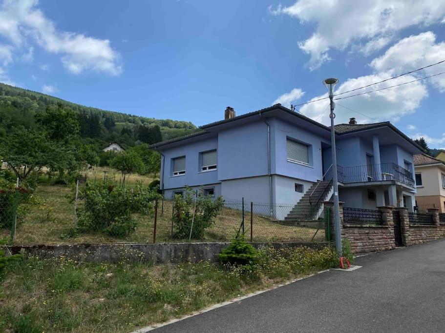 uma casa azul numa colina com uma cerca em Gîte Le p’tit Mintz em Natzwiller