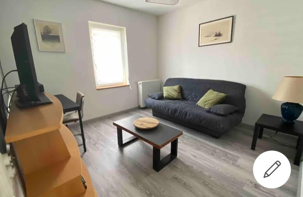 un salon avec un canapé et une télévision dans l'établissement Appartement proche basilique Saint Rémi, à Reims
