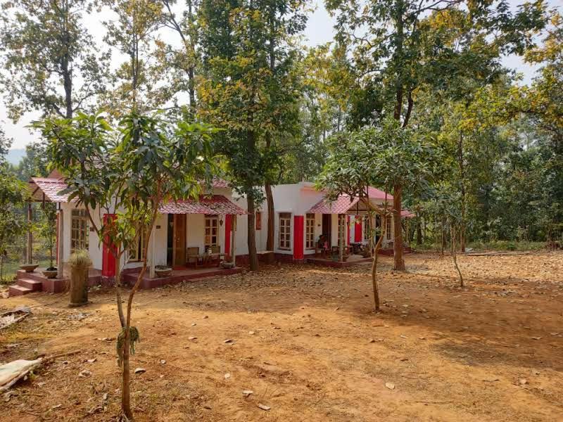 Zahrada ubytování Kurchi Homestay