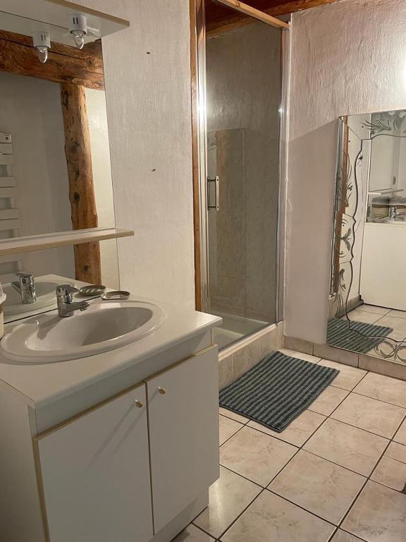 łazienka z umywalką i prysznicem w obiekcie Maison a Seez 170m2 w mieście Séez