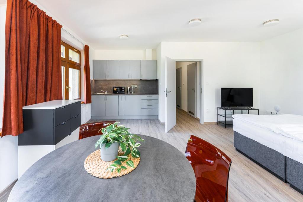 a kitchen and living room with a table and chairs at Apartmán v Poděbradech in Poděbrady