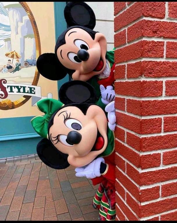 Appartement Disneyland Paris Val d'Europe La vallée Village parking 500m gare Val d'Europe - 18