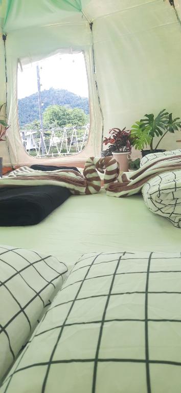 Ban Pa DaengにあるYafin khaokho Campingのベッドルーム1室(窓、ベッドカバー付)