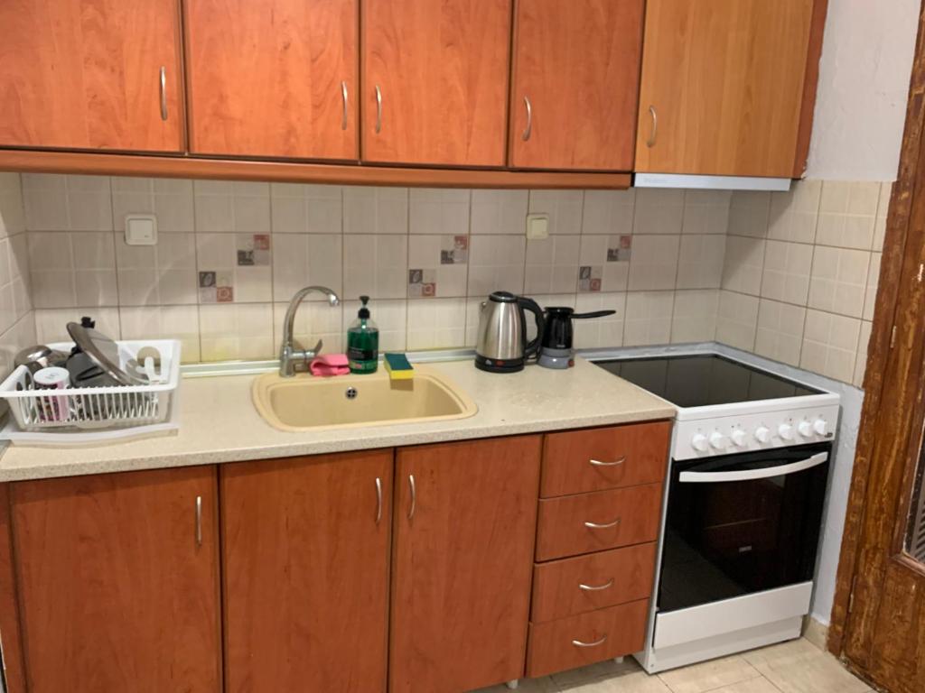 Virtuvė arba virtuvėlė apgyvendinimo įstaigoje Apartment Stefos