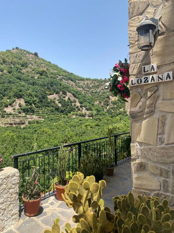 a balcony with cacti and a sign on a mountain at La Lozana - Río Verde in Jete