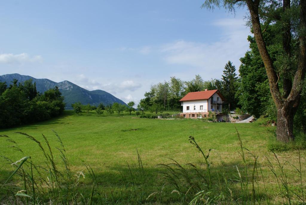a house in the middle of a field at Apartments Leni in Postojna