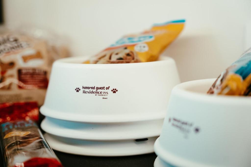 Residence Inn by Marriott Ghent - Resim 42