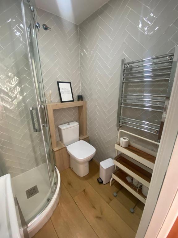 ein Bad mit einem WC und einer Dusche in der Unterkunft Apartamento eixample Barcelona in Barcelona