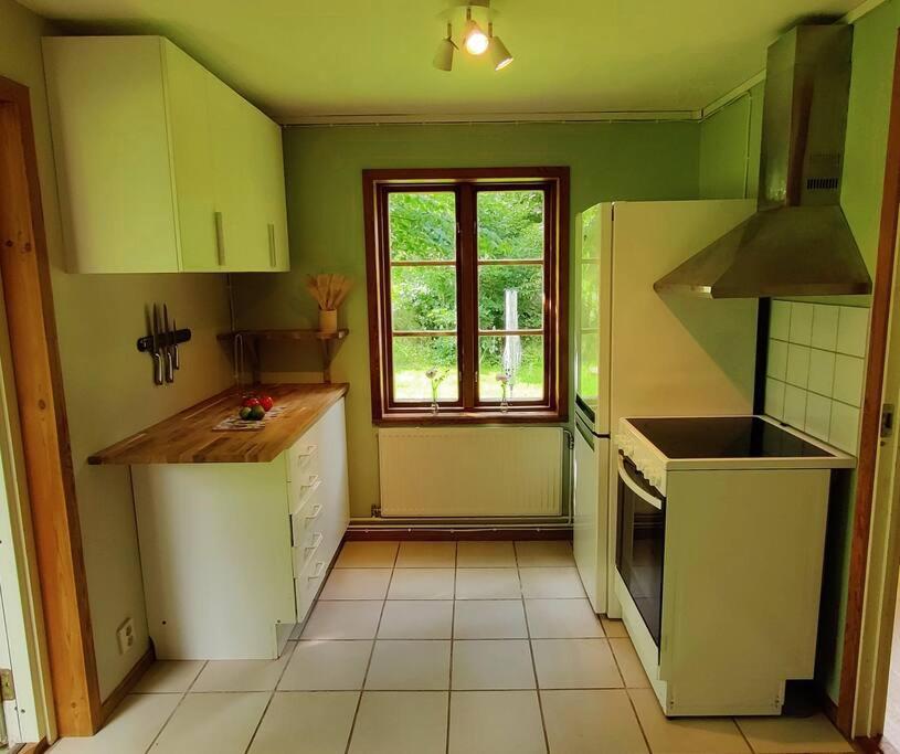 una pequeña cocina con paredes verdes y una ventana en Stuga i natursköna mittskåne en Höör