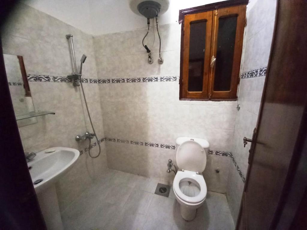 a bathroom with a toilet and a sink at West Bank Guest House in Luxor