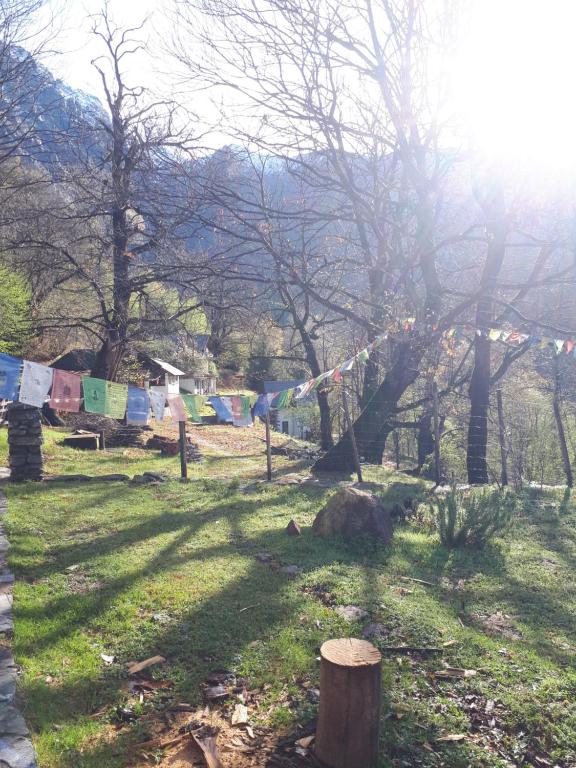 a park with clotheslines and a tree in the grass at Secret Mountain Retreat Valle Cannobina (for nature Lovers only) in Orasso