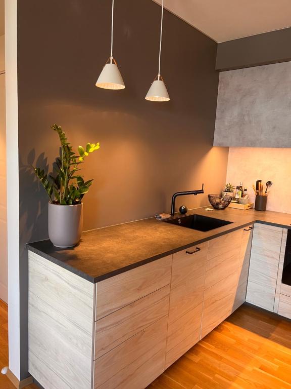 uma cozinha com um lavatório e um vaso de plantas em Solsiden, 2 soverom med parkering em Trondheim