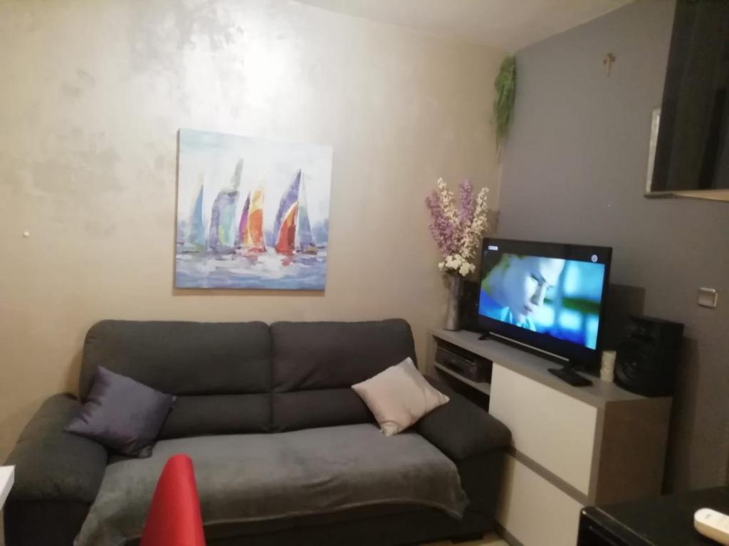 TV a/nebo společenská místnost v ubytování Alnea