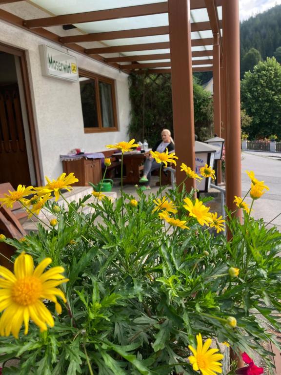 Zahrada ubytování Moserwirt Pension