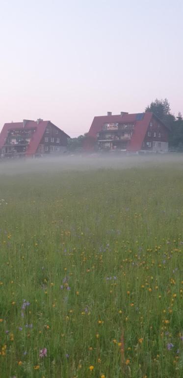 Príroda v okolí apartmánu