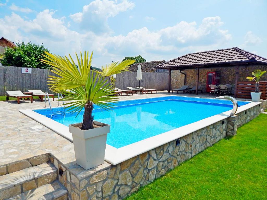 a swimming pool in a yard with a potted plant at Aqualux apartments in Vrdnik