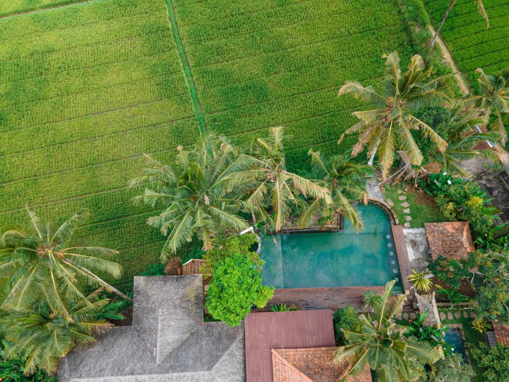 an aerial view of a resort with a swimming pool and palm trees at Uma Linggah Resort in Tampaksiring