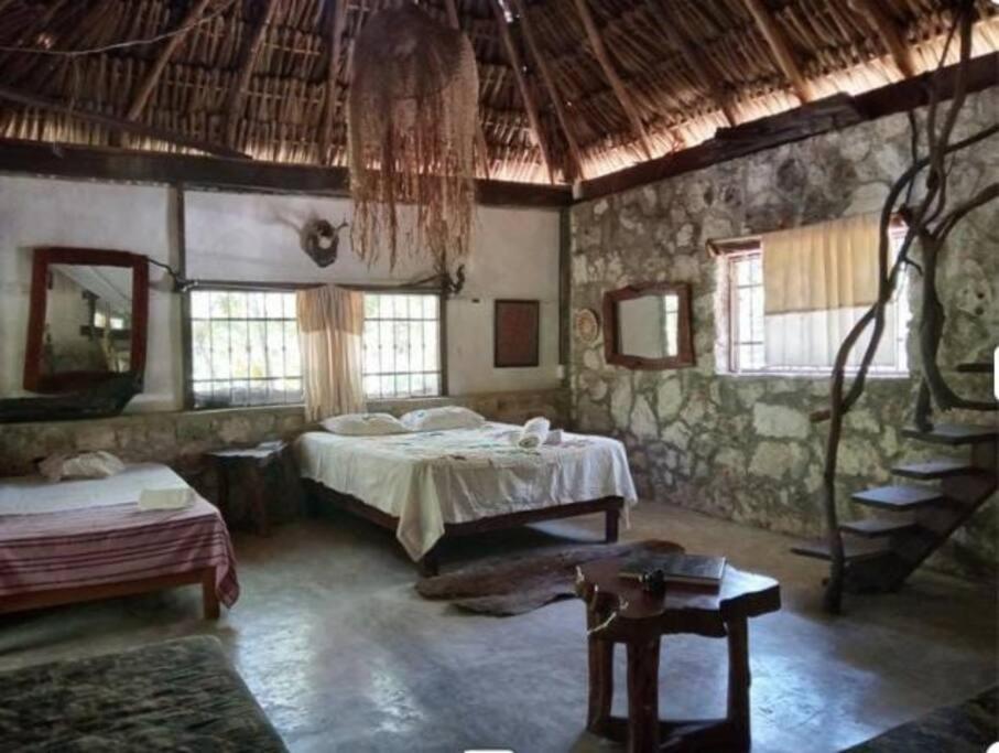 Ecolodge Uh May, Francisco Uh May (updated prices 2024)