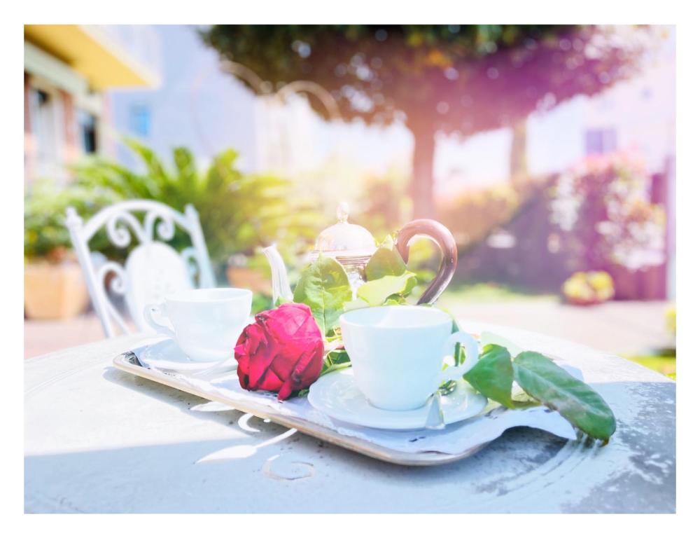 Zahrada ubytování B&B Dolce Olga