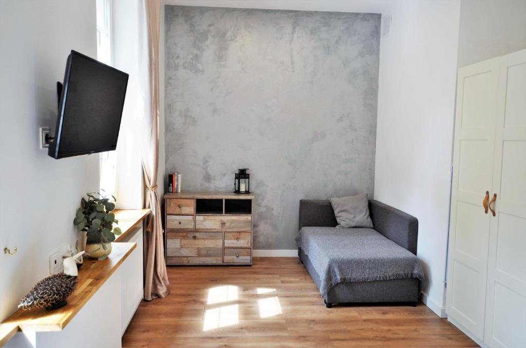 Televízia a/alebo spoločenská miestnosť v ubytovaní Apartament Szeroka Old Town
