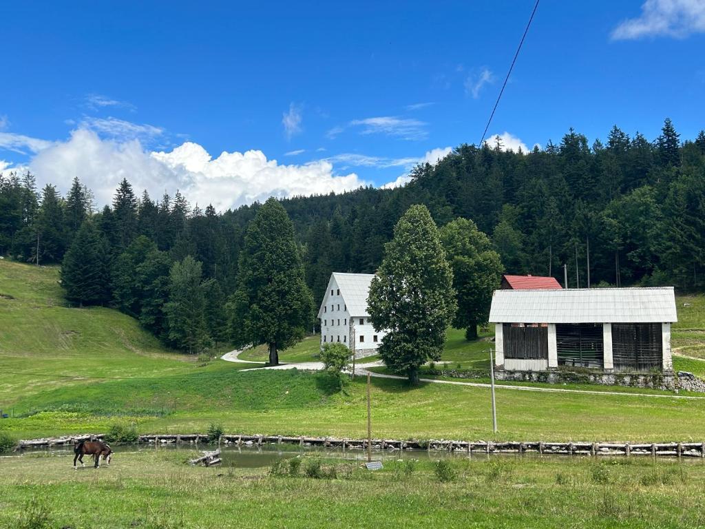 un caballo pastando en un campo junto a una casa blanca en Domačija Gačnik, en Idrija