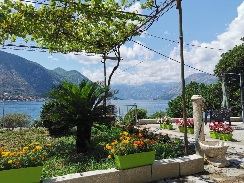 a garden with flowers and a view of the water at Trinity Apartment Seafront in Kotor