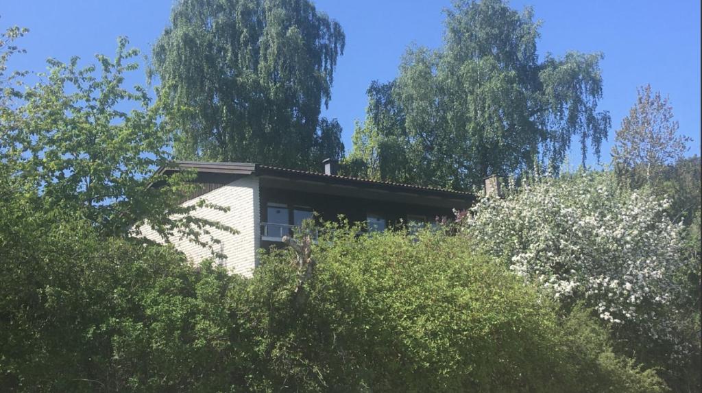 dom pośrodku drzew w obiekcie Nannas Studio w mieście Henån