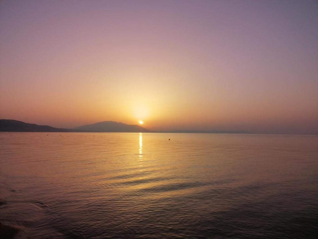 Alkion Boutique Living - 15