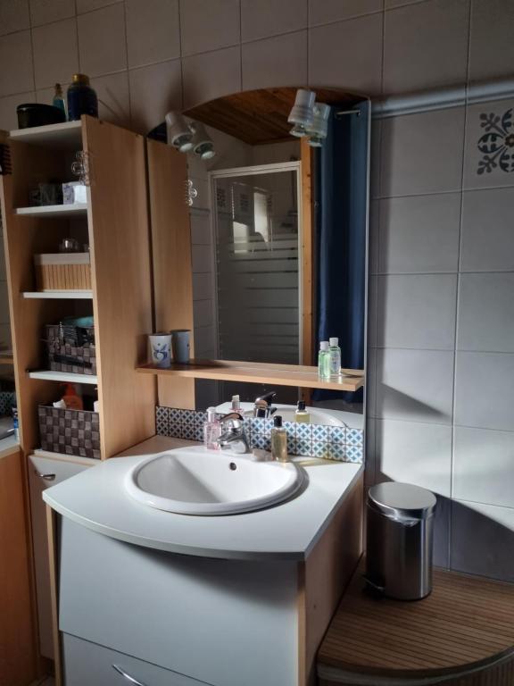 ein Bad mit einem Waschbecken und einem Spiegel in der Unterkunft Chez Lofred 2 in Four