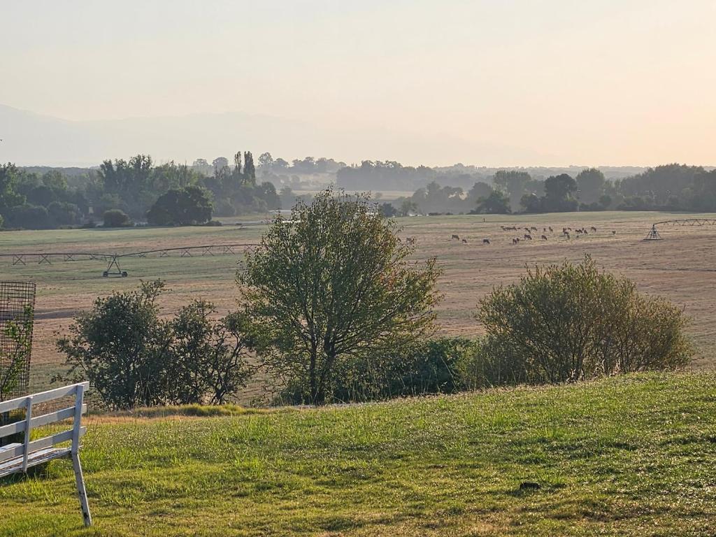 Príroda v okolí hotela