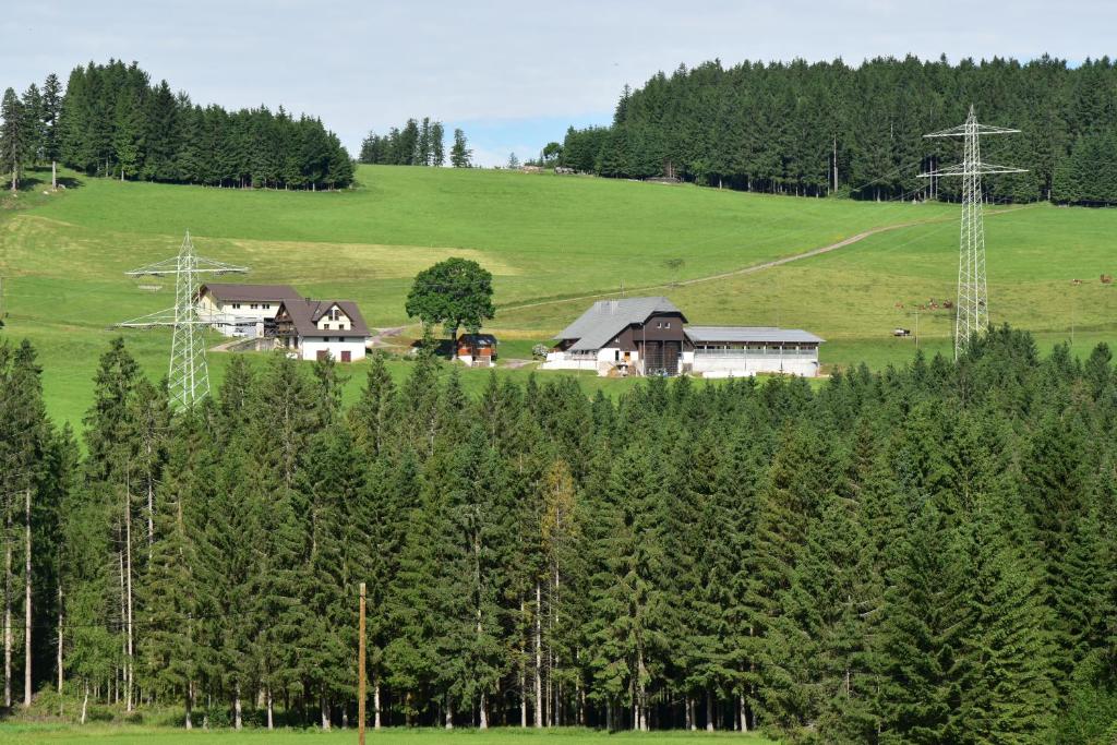 um grupo de casas numa colina com árvores em Dürrenbartleshof em Breitnau