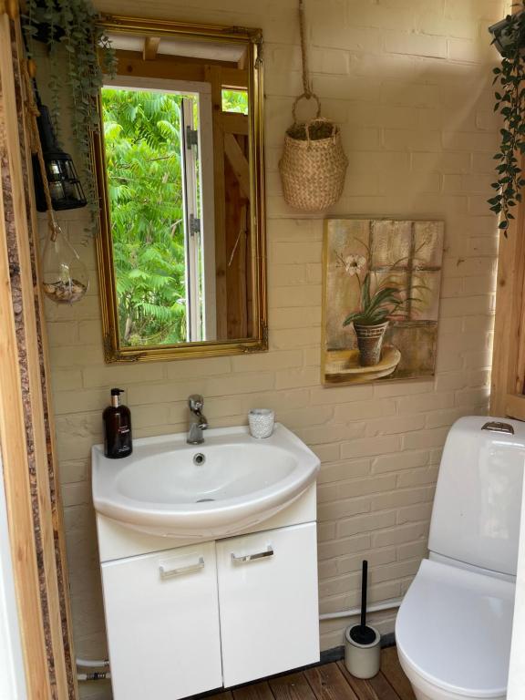 uma casa de banho com um lavatório, um espelho e um WC. em Hyggelig country Lodge em Stenstrup