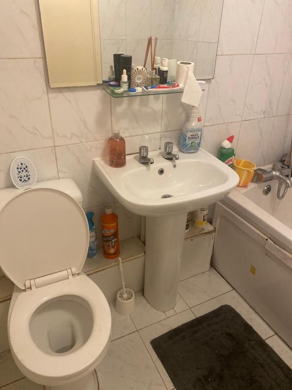 a bathroom with a toilet and a sink at Quiet flat with a private spacious room in Birmingham