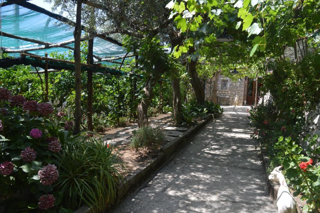ein Gewächshaus mit einem Gehweg im Garten in der Unterkunft La Petra in Vico Equense