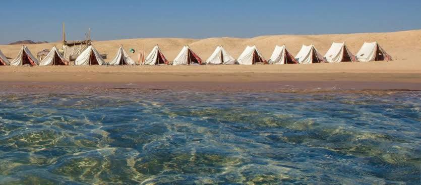 a row of tents on a beach with the water at Blend in Nature Camp in Sharm El Sheikh