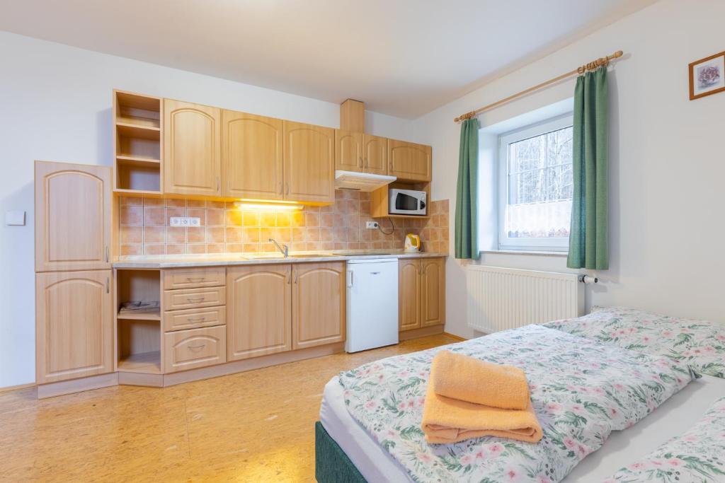 Penzion Chlustov - Suite D'une Chambre