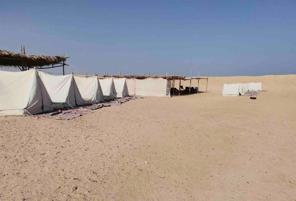 Fotografie z fotogalerie ubytování Blend in Nature Camp v destinaci Sharm El Sheikh