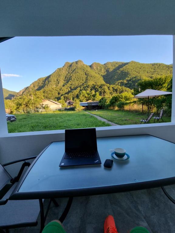 um computador portátil sentado numa mesa em frente a uma janela em Green Nest em Brezoi