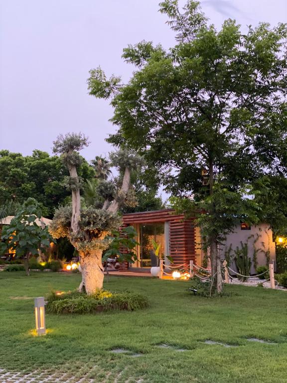 ein Haus mit zwei Bäumen im Hof in der Unterkunft Butiq Garden in Kemer