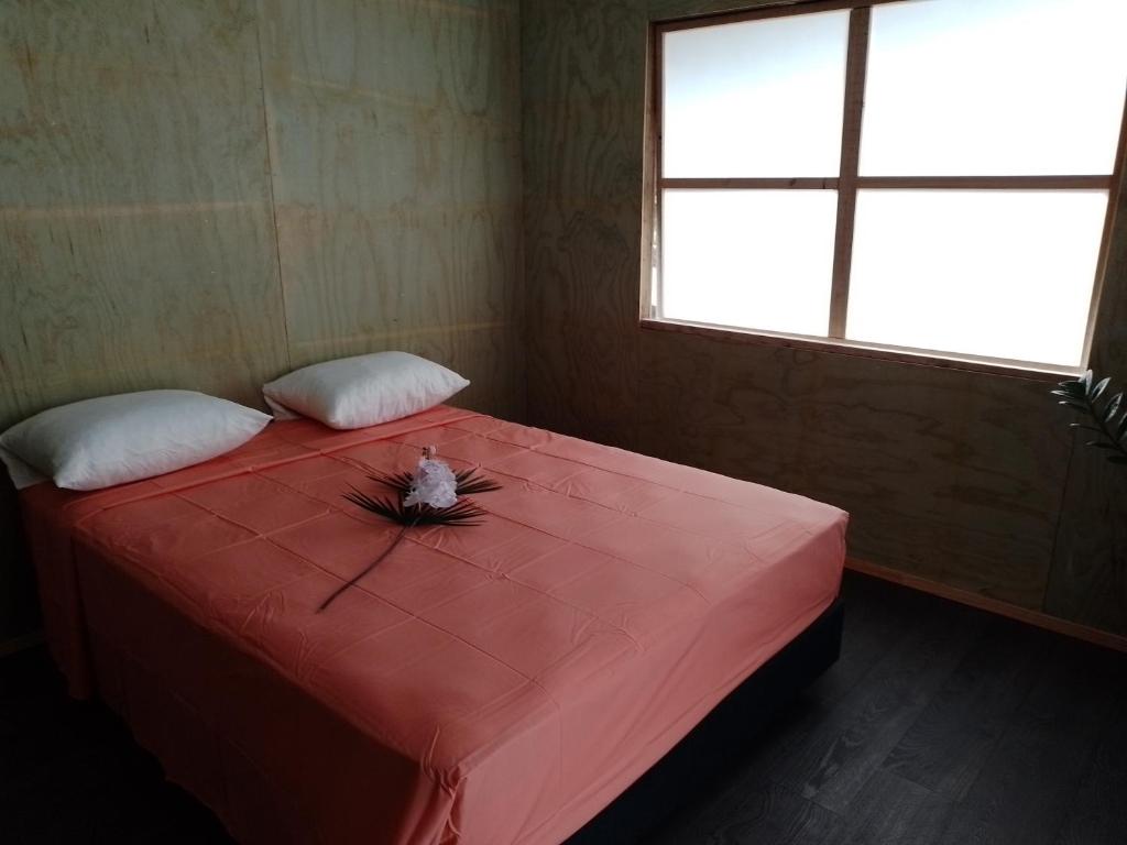 TEMAEVA LODGE, Nuku Hiva - photo 9 - Nuku Hiva, Polynésie